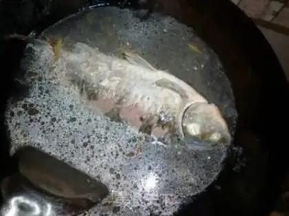 Make Squid radish soup step 4