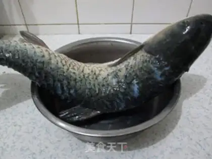 Make Squidfish step 0
