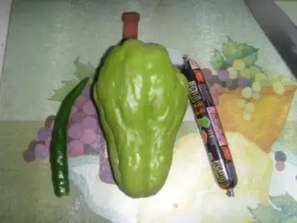 Make Quit firing the Buddha step 0