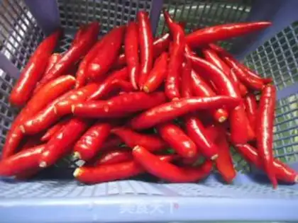 Make Homemade peppers step 1