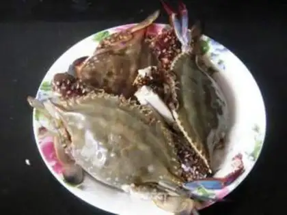 Make Crabs step 0