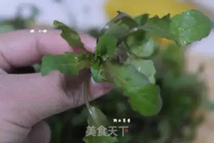 Make Wild dumplings step 0