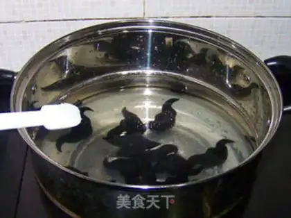 Make Salt-water horn step 3