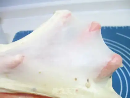 Make A bread from the Kasta step 1