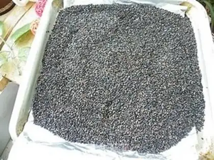 Make Black sesame salt step 1