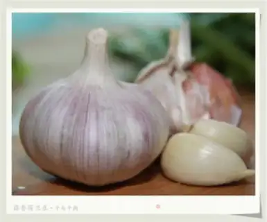 Make Garlic Dutch beans step 1