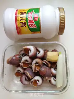Make Splendid conch step 0