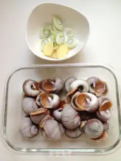 Make Splendid conch step 1