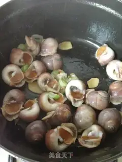 Make Splendid conch step 3