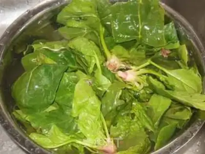 Make Spinach Hand pasta step 1