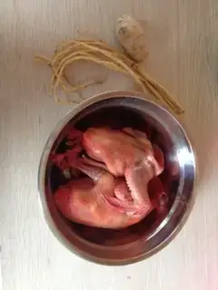 Make Clean up the pigeon soup step 0