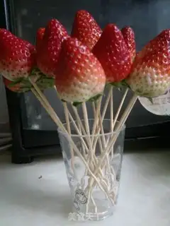Make The melon step 5