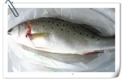 Make Cheesefish step 0