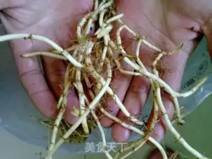 Make Garlic weed step 0
