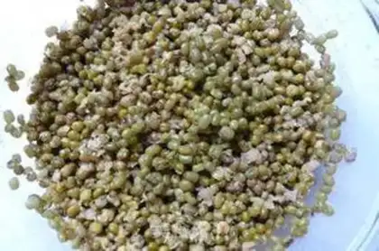 Make Homemade green bean sand step 2