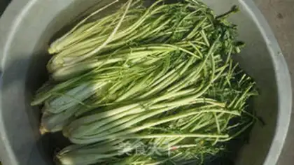 Make Homemade sour pickles step 2