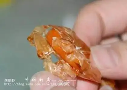 Make step 11