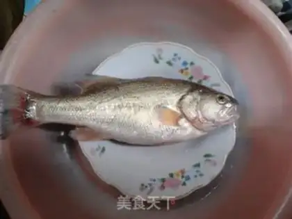 Make Slurpfish step 0