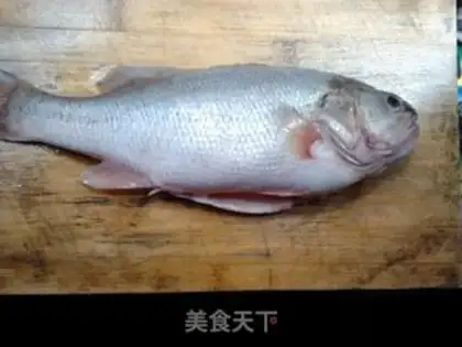 Make Slurpfish step 1