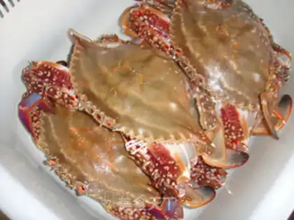 Make Crabs step 0
