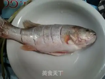 Make Slurpfish step 3