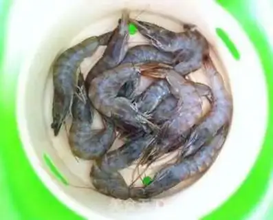 Make Sugar shrimp step 0