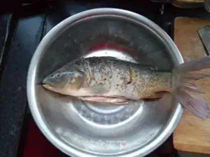 Make Carp step 0