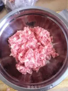 Make Delicious dumplings step 0