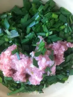 Make Delicious dumplings step 2