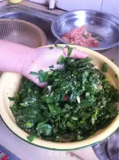 Make Delicious dumplings step 3