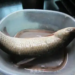 Make All fish step 0