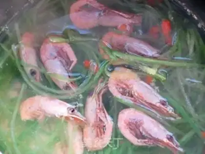Make Arctic shrimp jade carrot soup step 3