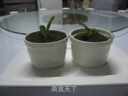 Make Little plant step 9
