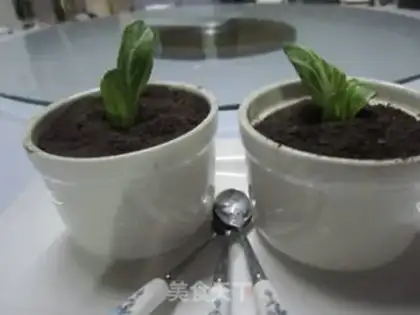 Make Little plant step 11