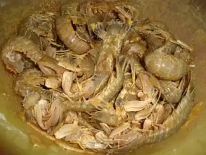 Make Serpentine piss shrimp step 1