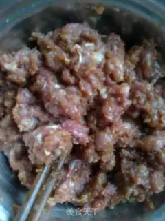 Make Homemade pork step 0