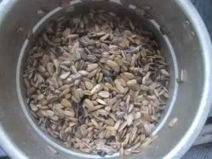 Make Five sunflower seeds step 6