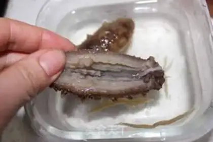 Make Precious sea cucumber step 1