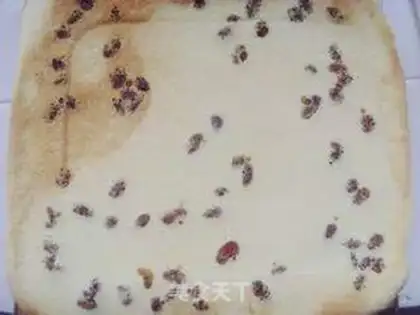 Make raisin cake roll step 17