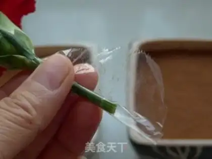 Make Flower pot mousse cake step 16