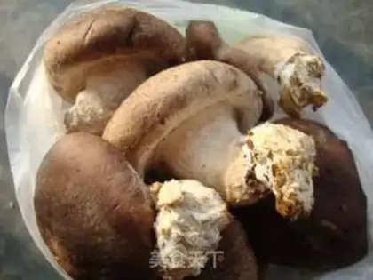 Make Homemade dry mushrooms step 0
