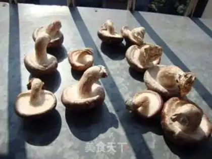 Make Homemade dry mushrooms step 1