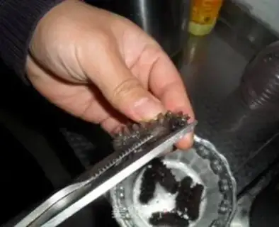 Make Buffet dry sea cucumber step 7
