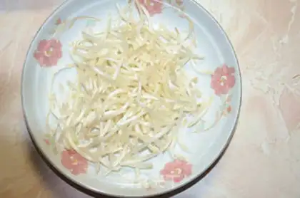 Make Spring roll step 2