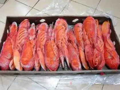 Make Garlic lobster step 0