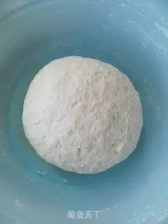 Make Pork dumplings step 0