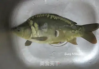 Make Jealousy fish step 0