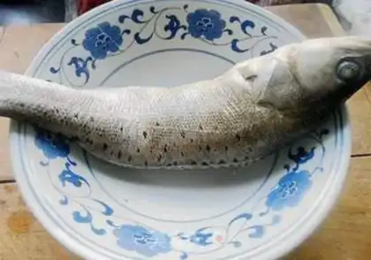 Make Vacuate herring step 0