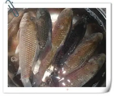 Make Soy sauce, bonito step 0
