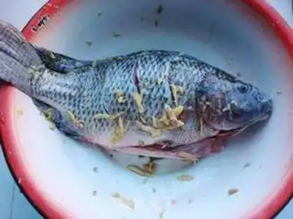 Make Tomato fried fish step 0
